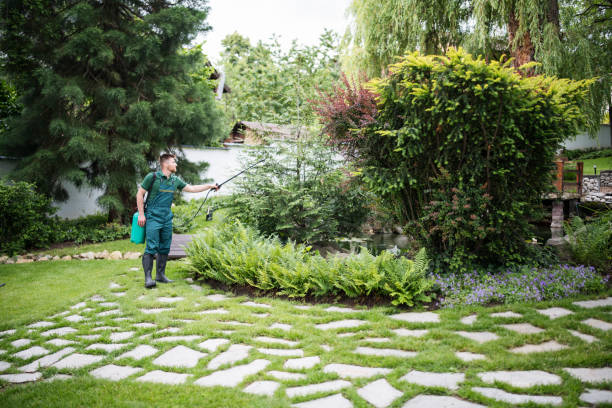 Best Pest Inspection Near Me  in Reliez Valley, CA