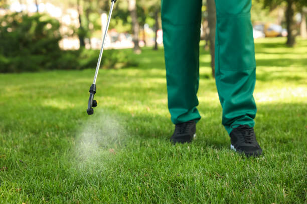 Best Best Pest Control Companies  in Reliez Valley, CA