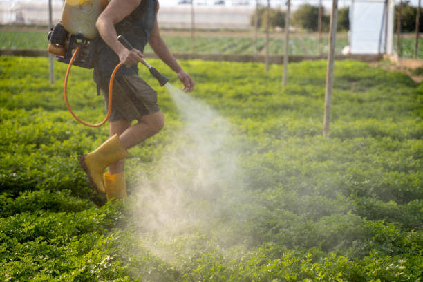 Best Pest Removal Services  in Reliez Valley, CA