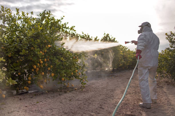 Best Local Pest Control Services  in Reliez Valley, CA