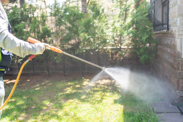 Best Pest Inspection Near Me  in Reliez Valley, CA