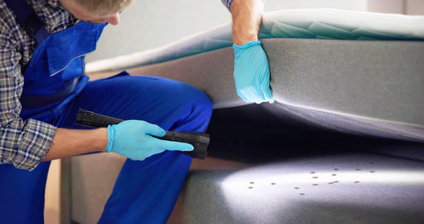 Pest Prevention Services in Reliez Valley, CA