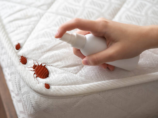 Best Commercial Pest Control Services  in Reliez Valley, CA