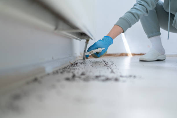 Flea Control Services in Reliez Valley, CA